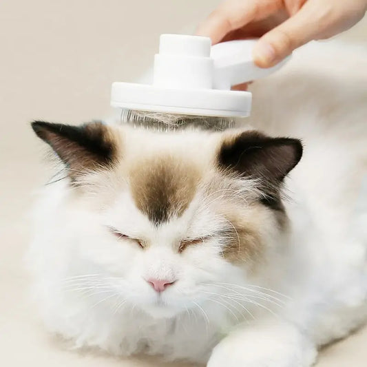 Cat Comb Hair Removal & Massage