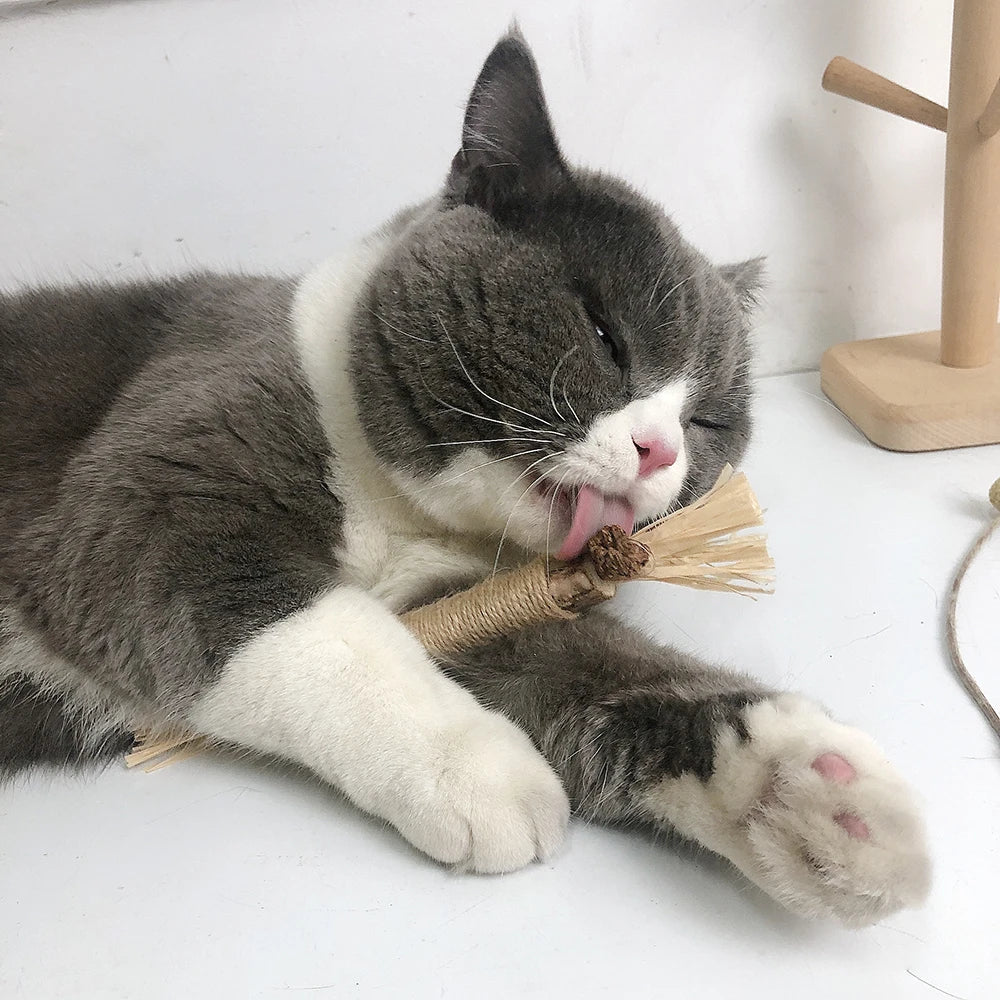 Natural Matatabi Catnip Sticks