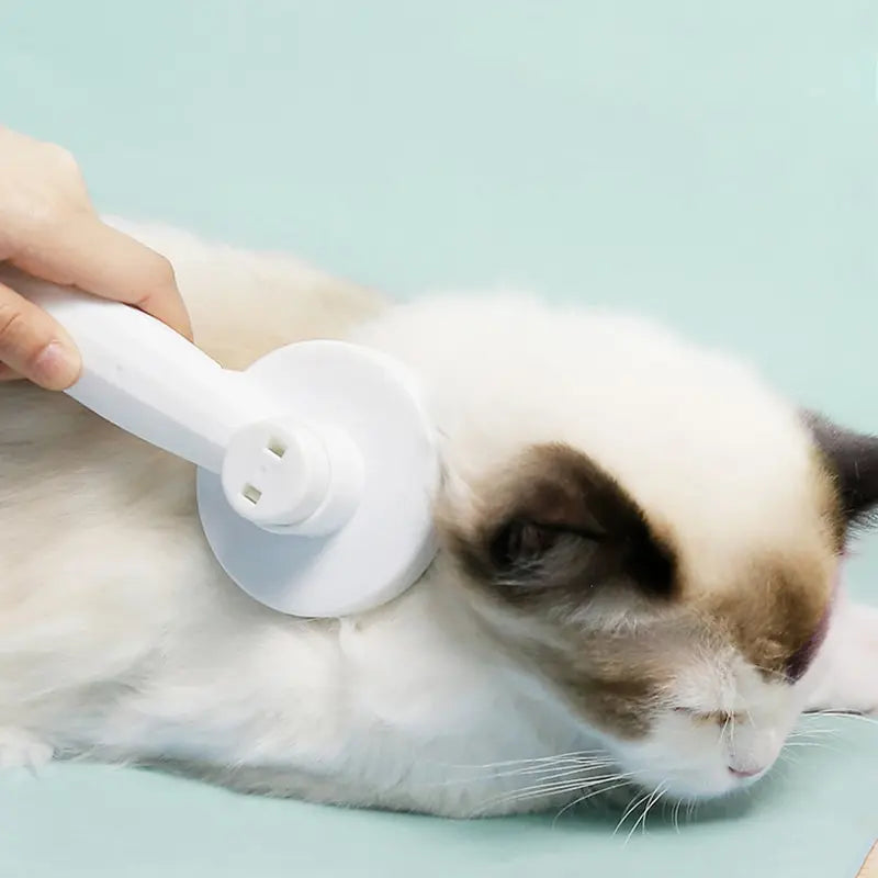 Cat Comb Hair Removal & Massage